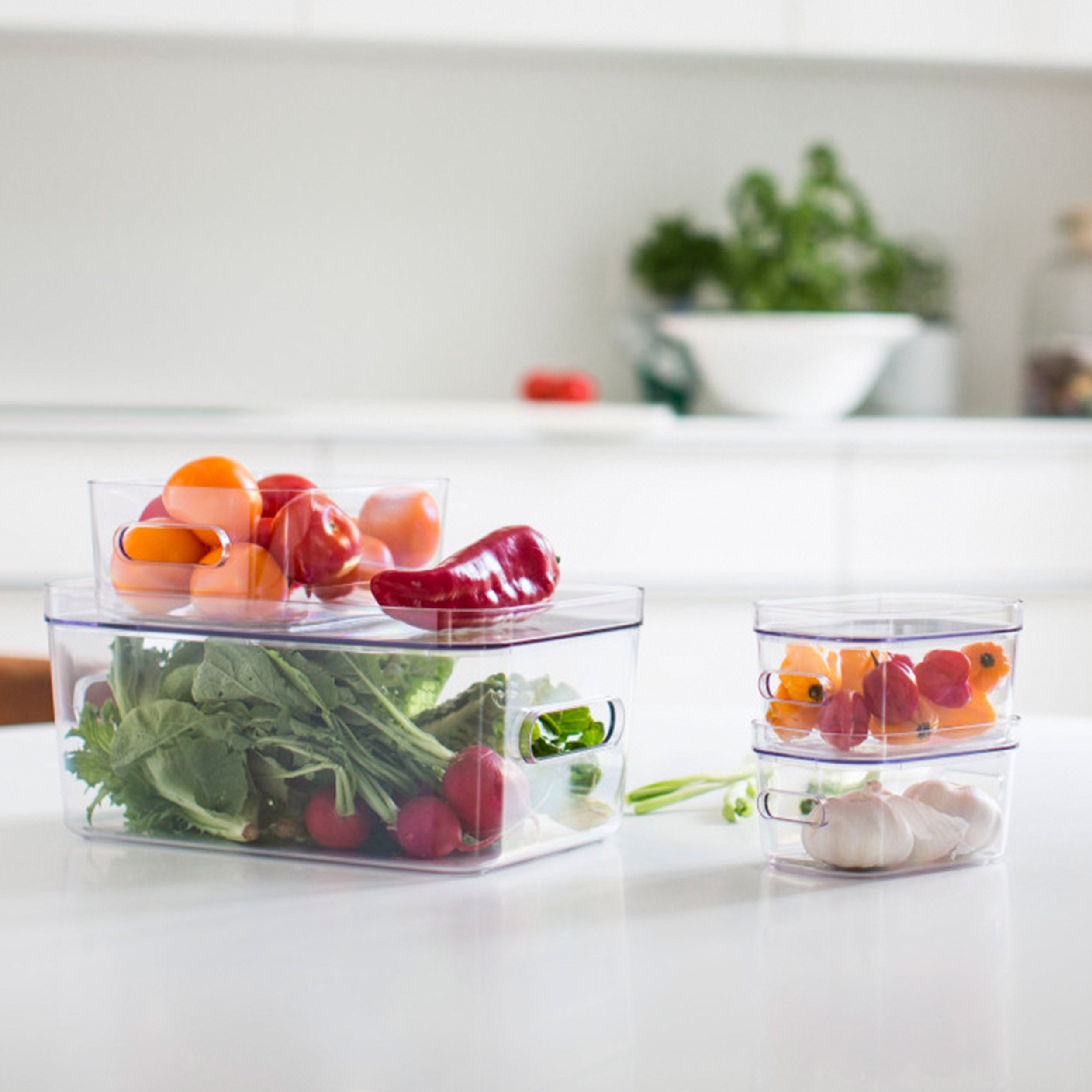Clear Stacking Lidded Storage Box Bundle
