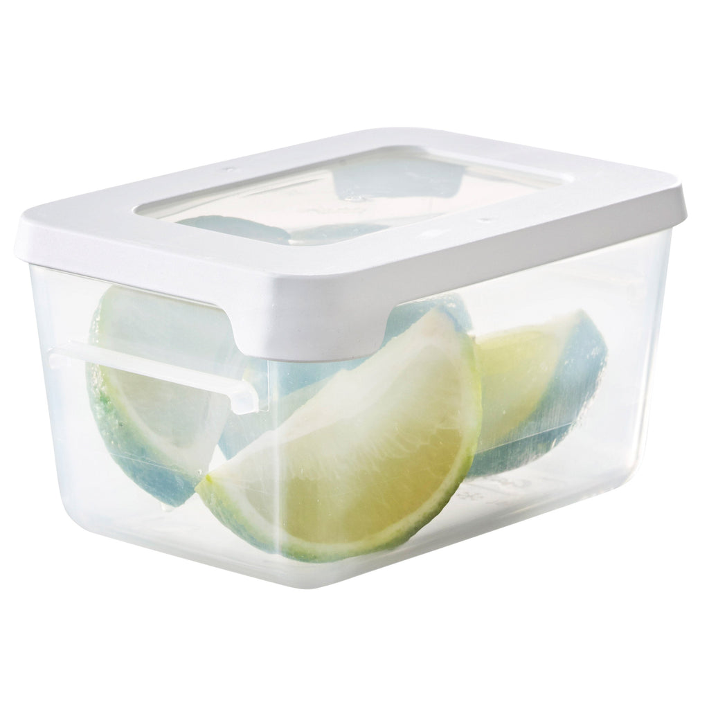 Airtight Food Storage Container 0.45 Litre