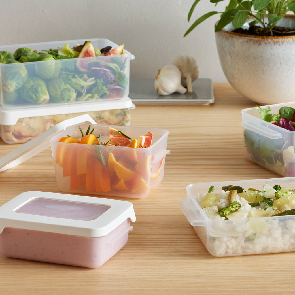 Airtight Food Storage Container 0.45 Litre