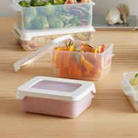 Airtight Food Storage Container 0.3 Litre